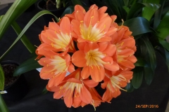 P1060013