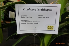 P1060014