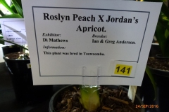 P1060017