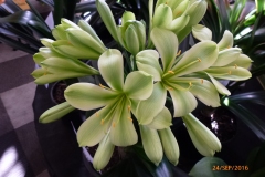 P1060018
