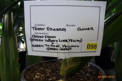 P1060019