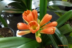 P1060020