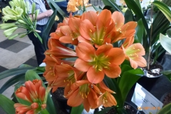 P1060022