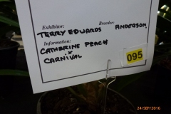 P1060027