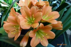 P1060028