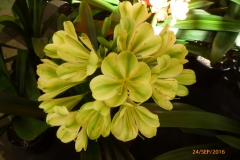 P1060030