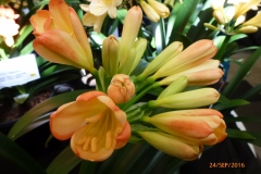 P1060032