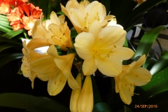 P1060034
