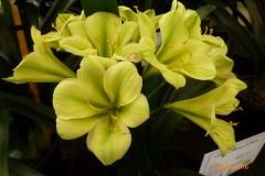 P1060038