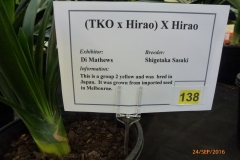 P1060039