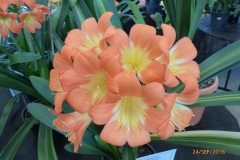 P1060043
