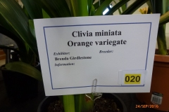 P1060044