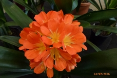P1060045