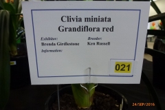 P1060046