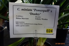 P1060048