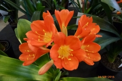 P1060049