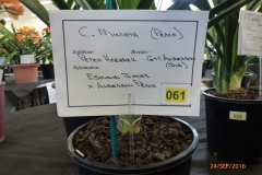 P1060054