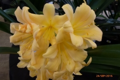 P1060055
