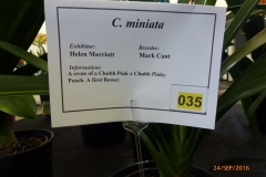 P1060056