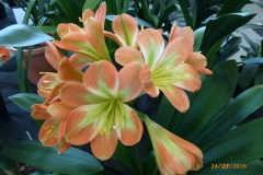 P1060057
