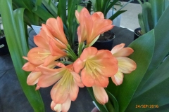 P1060059