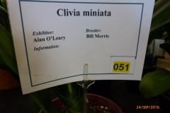 P1060060