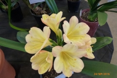 P1060061
