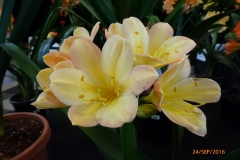 P1060062