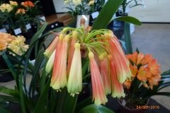 P1060066