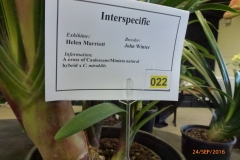 P1060067