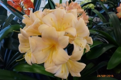 P1060068