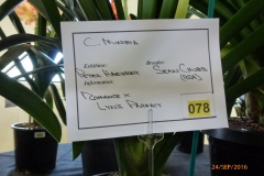 P1060071