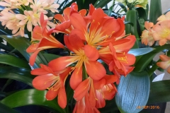 P1060072