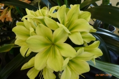 P1060076
