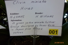P1060077