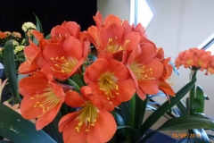 P1060078