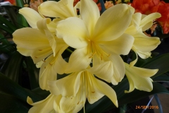 P1060084
