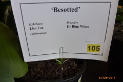 P1060085