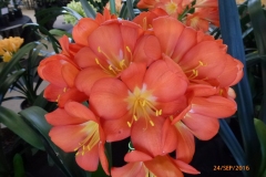 P1060086
