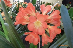 P1060088