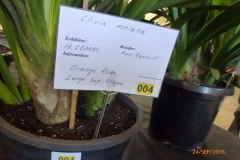 P1060089