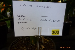 P1060091