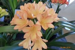 P1060094