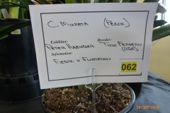 P1060095
