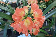 P1060098