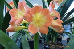 P1060104