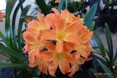 P1060109