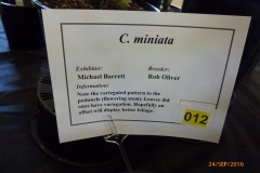 P1060113