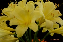 P1060120