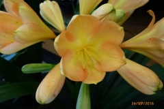 P1060128